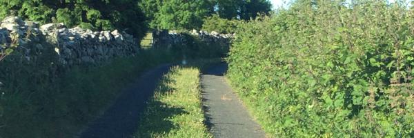 catedonohoe2 Profile Banner