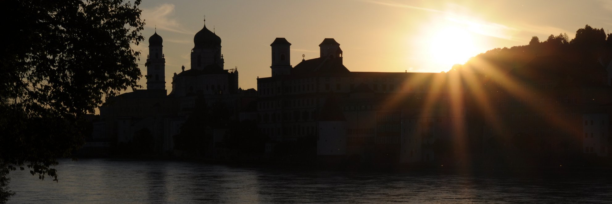 Kathrin Hanauer banner