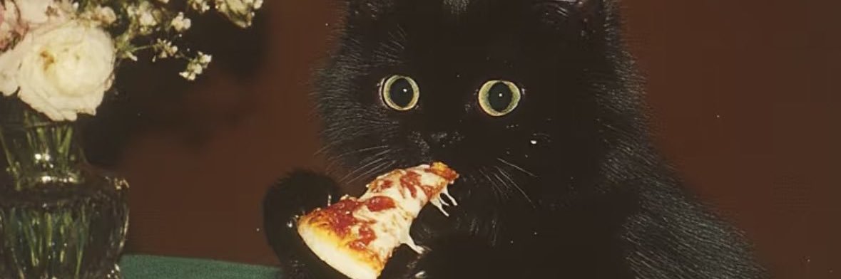 kocheetop's profile banner image