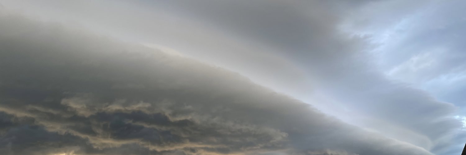 dlotty banner