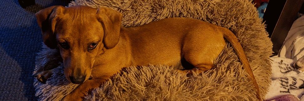 jayne_eggins's profile banner image