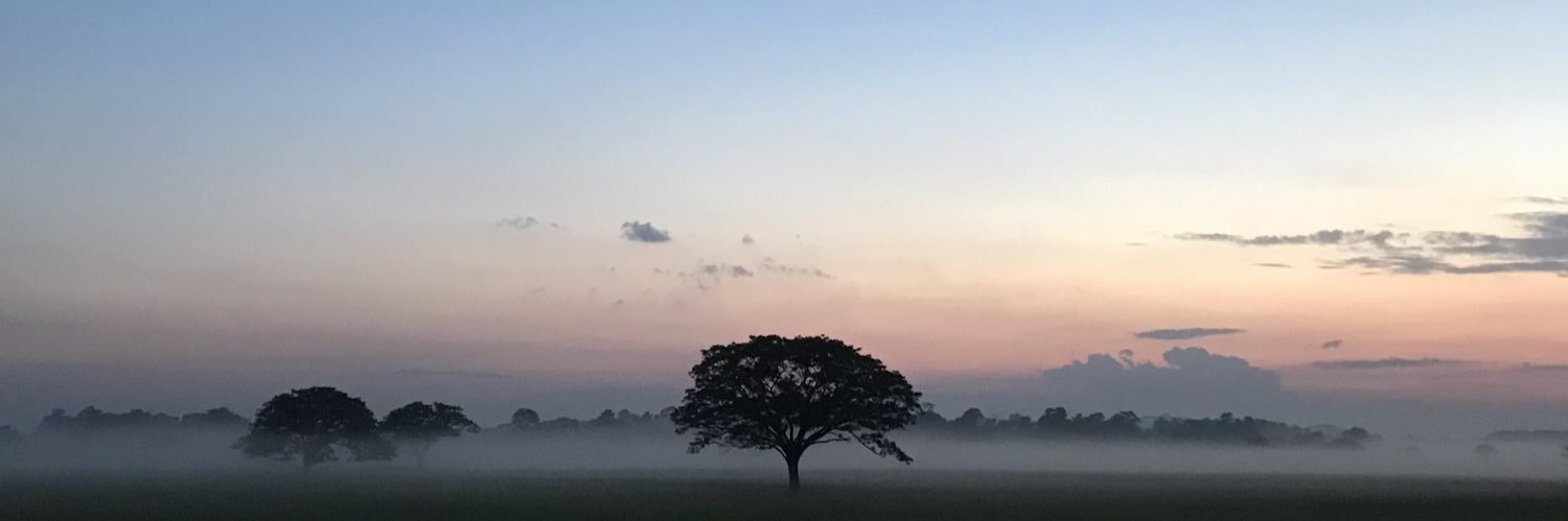 Daydreaming_96's profile banner image