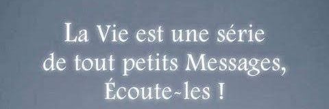 Brigitte Montgrenier banner