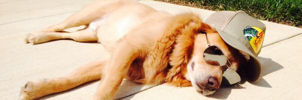 BenHackenwerth Profile Banner