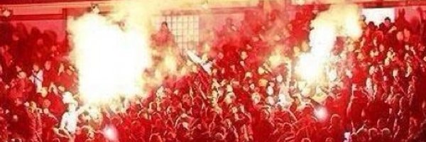 StocksFC Profile Banner