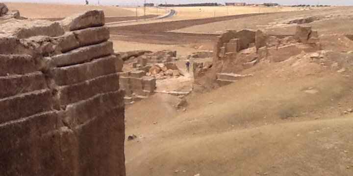 Arazi Assembly banner