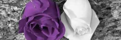 Sahar295's profile banner image