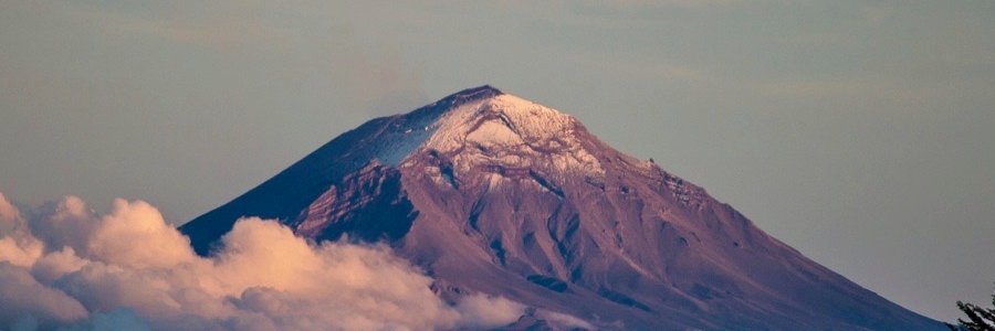 danieloso banner