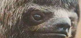Alex_Cortex8 banner