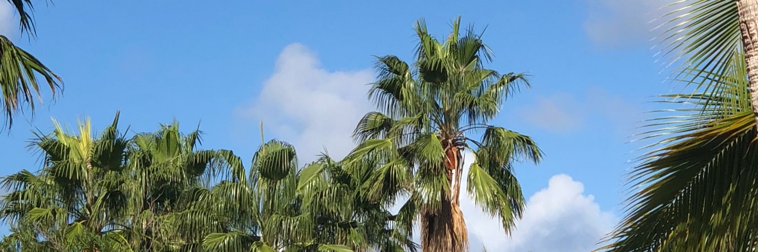 Dom_gurl's profile banner image