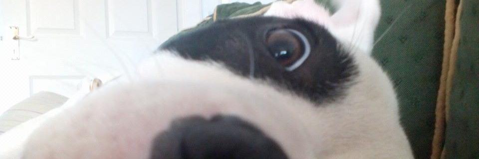 PeteBoris's profile banner image