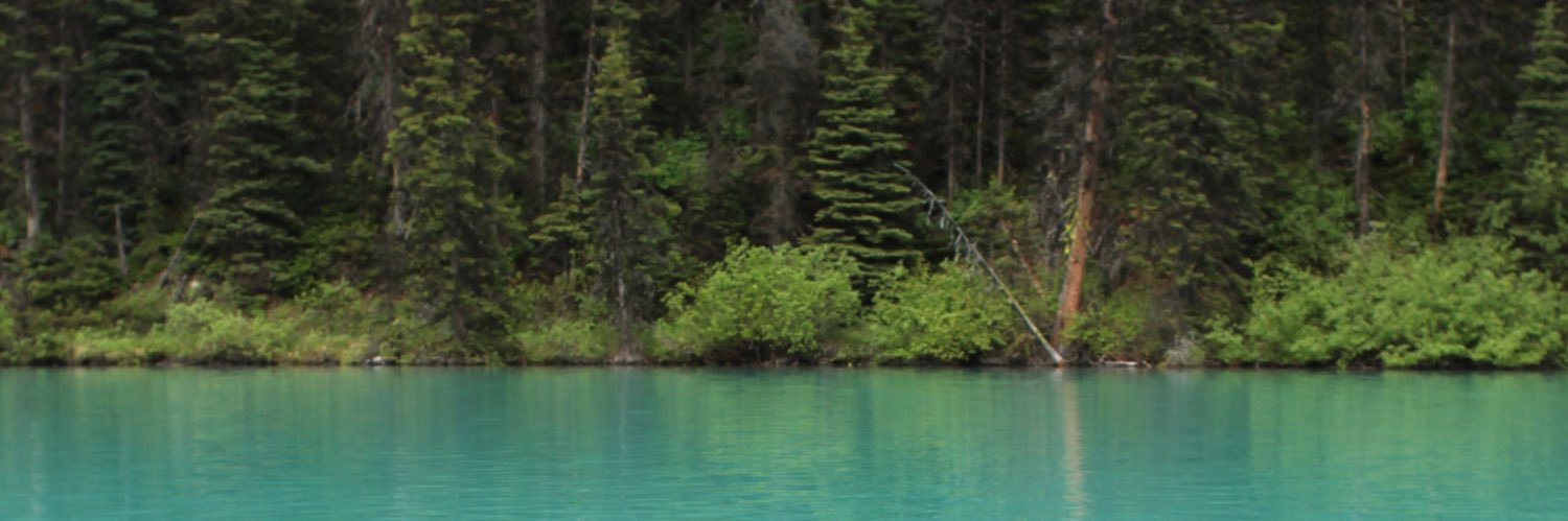 Dr. Brittany Terry banner