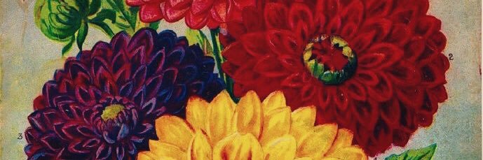 danzingthrulife's profile banner image