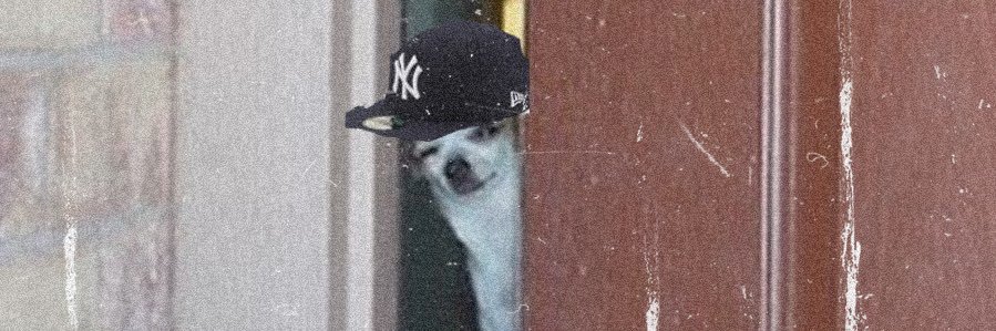 deweyknow1's profile banner image
