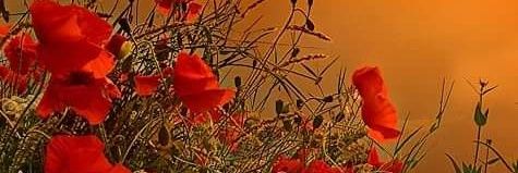 Alexa von Hessen banner