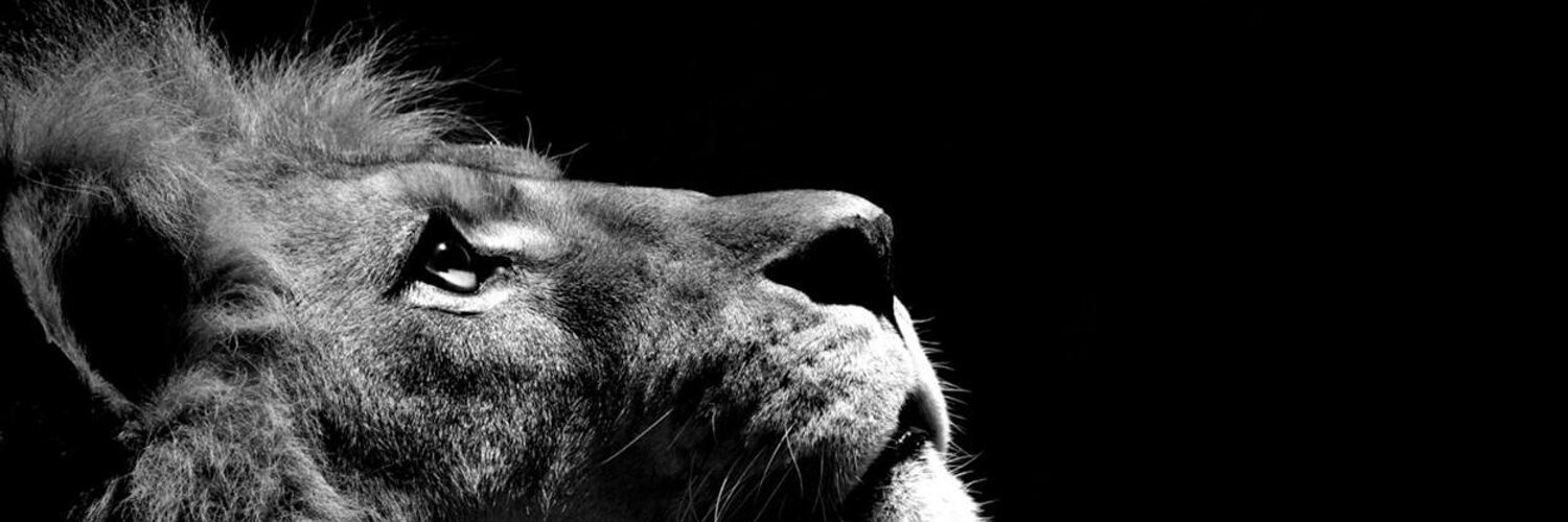 ProZach1992's profile banner image