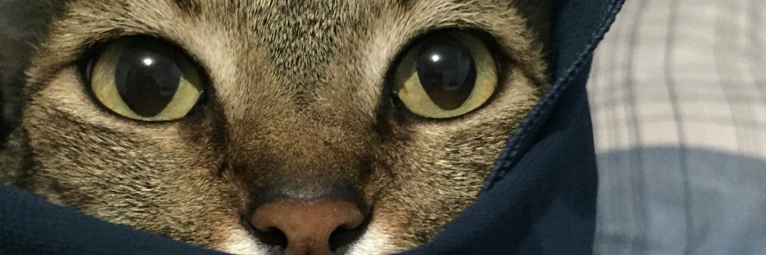 kelvb_'s profile banner image