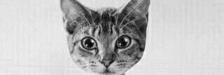 ziad_m_'s profile banner image