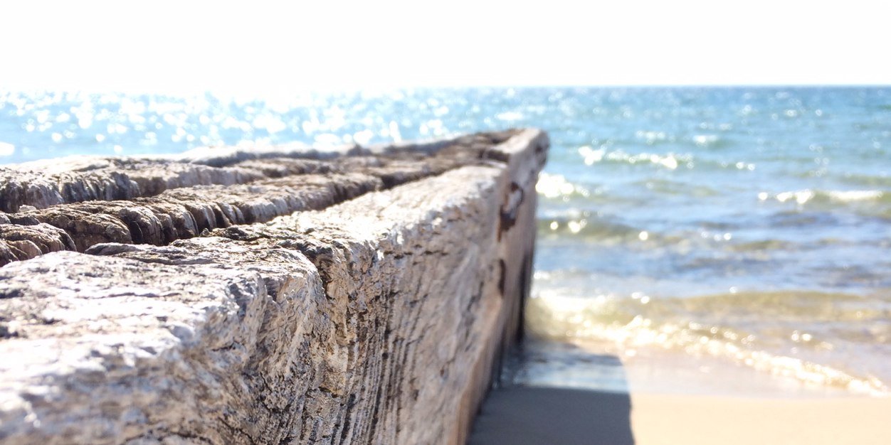 Jessica Moorman banner