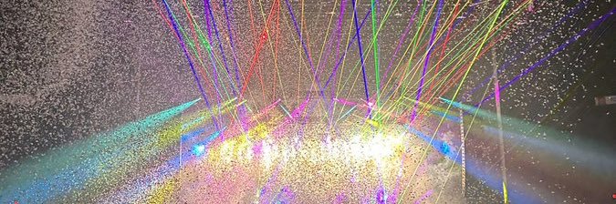 🦋paige megellas🍄 banner