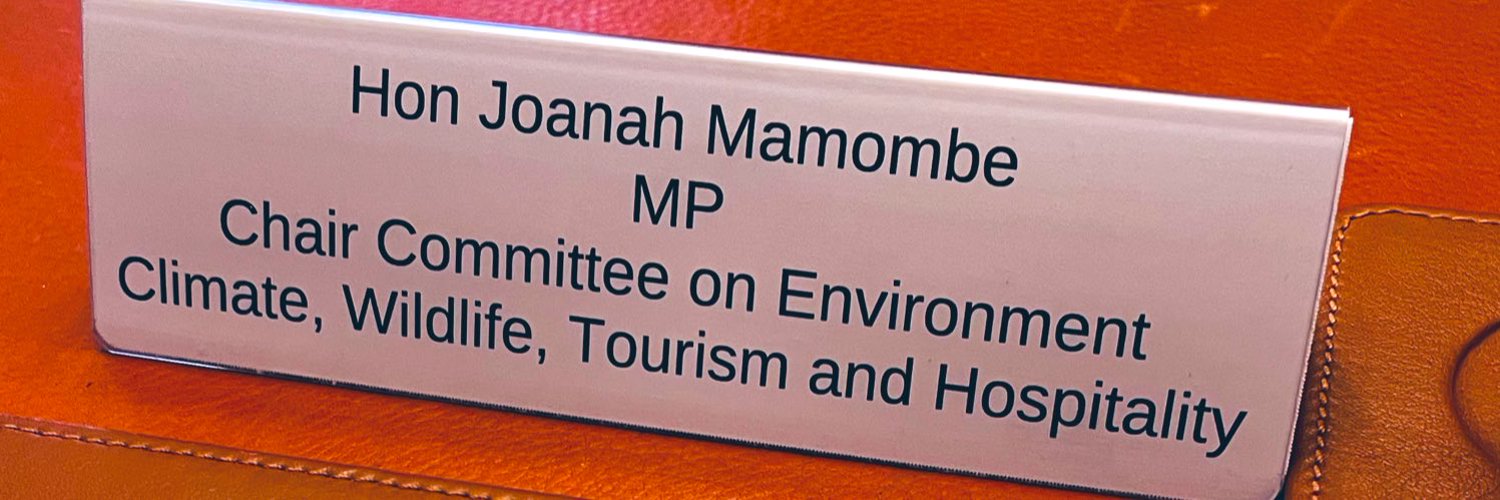 Joanah Mamombe MP Profile Banner