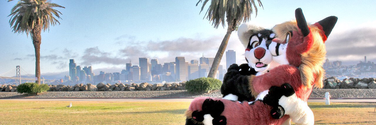 PJVixen's profile banner image