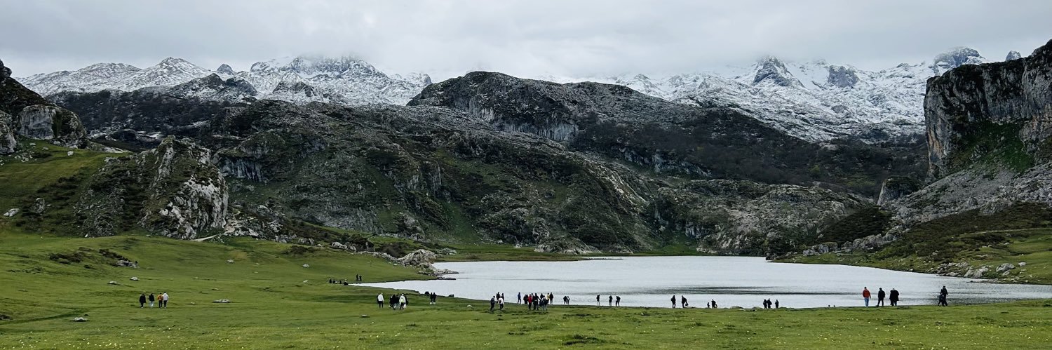 Rafael Gomez Bellido banner