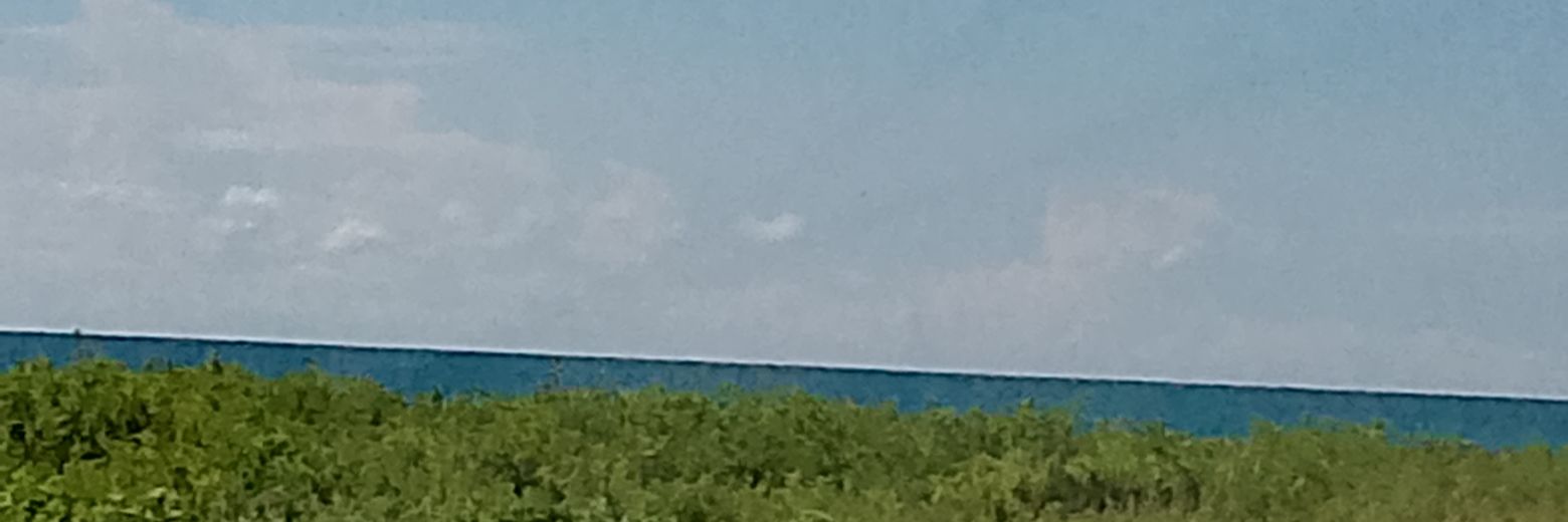 MichLindao's profile banner image