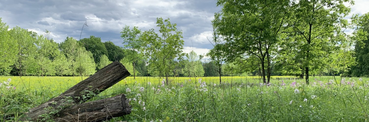 DeBodegaCat's profile banner image