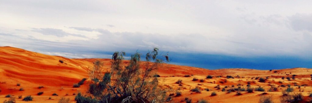 mkmesmasb's profile banner image