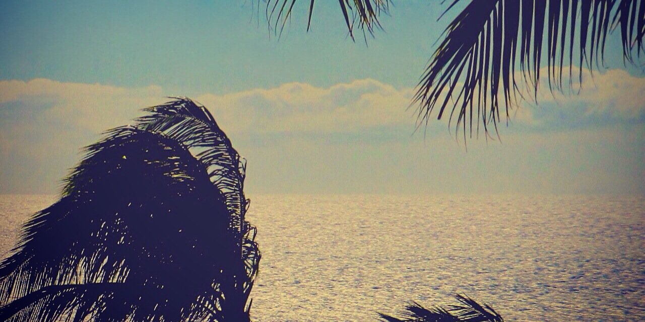 AntonioChelios's profile banner image