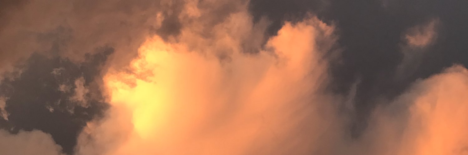 mariselarl97's profile banner image