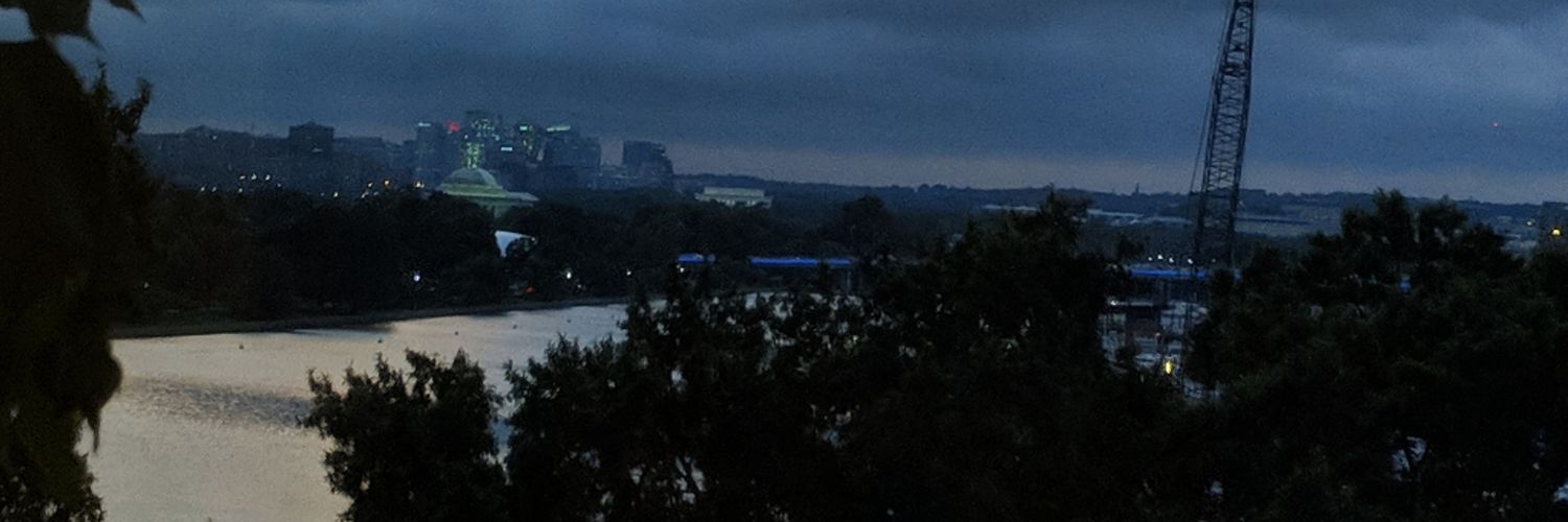 Diane Schulz banner