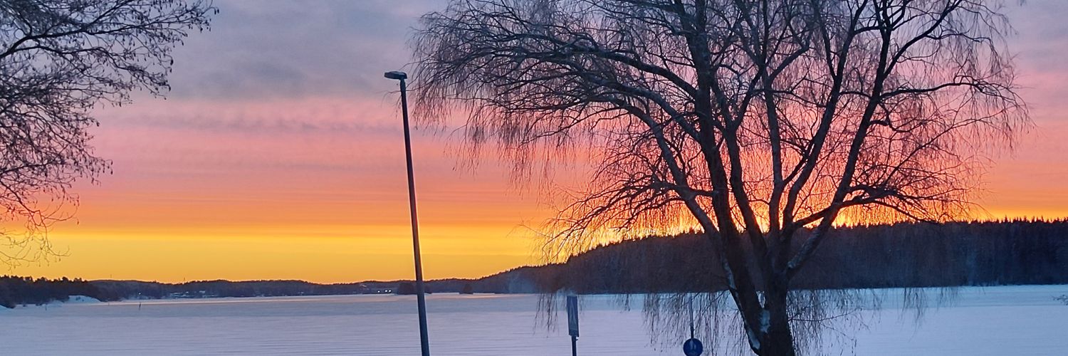 AnnemSumm's profile banner image