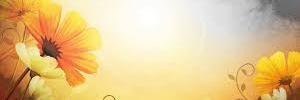saedasalman2's profile banner image