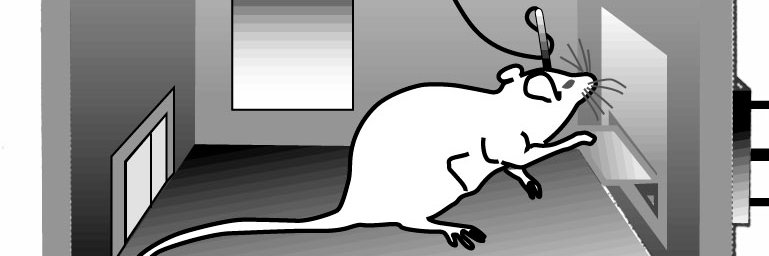 FreakCoink's profile banner image