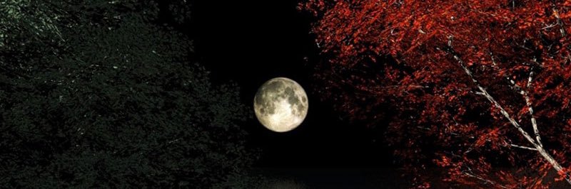 ericbrnard0814's profile banner image