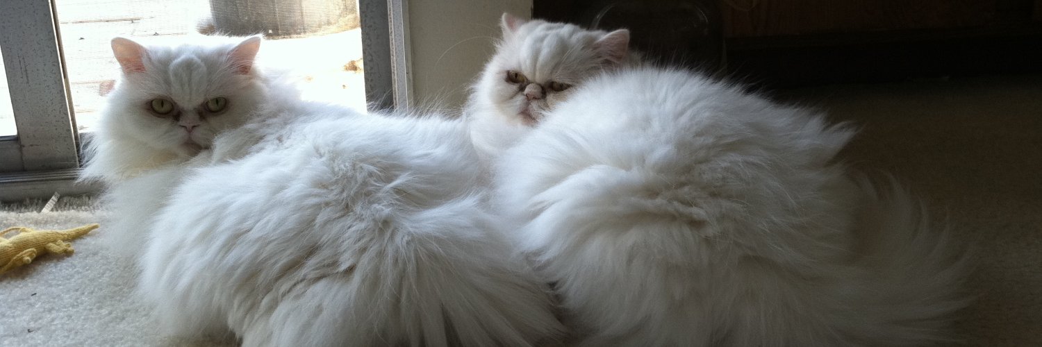 Rajeev Varma, MD banner