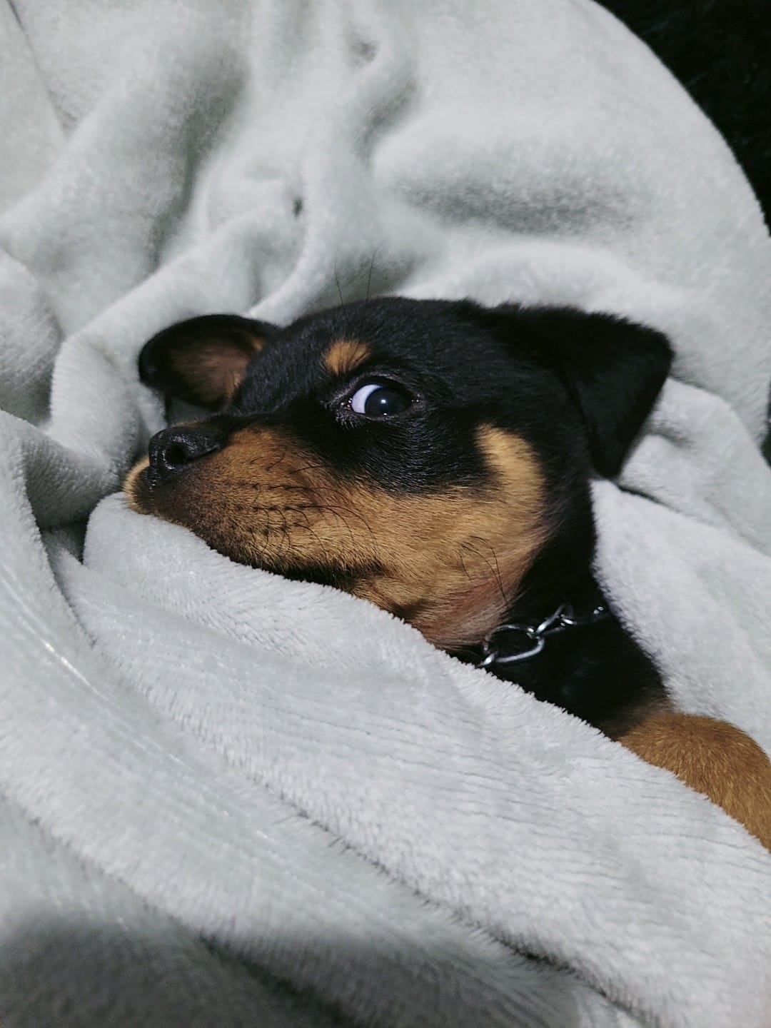 Corchuelo0's profile banner image