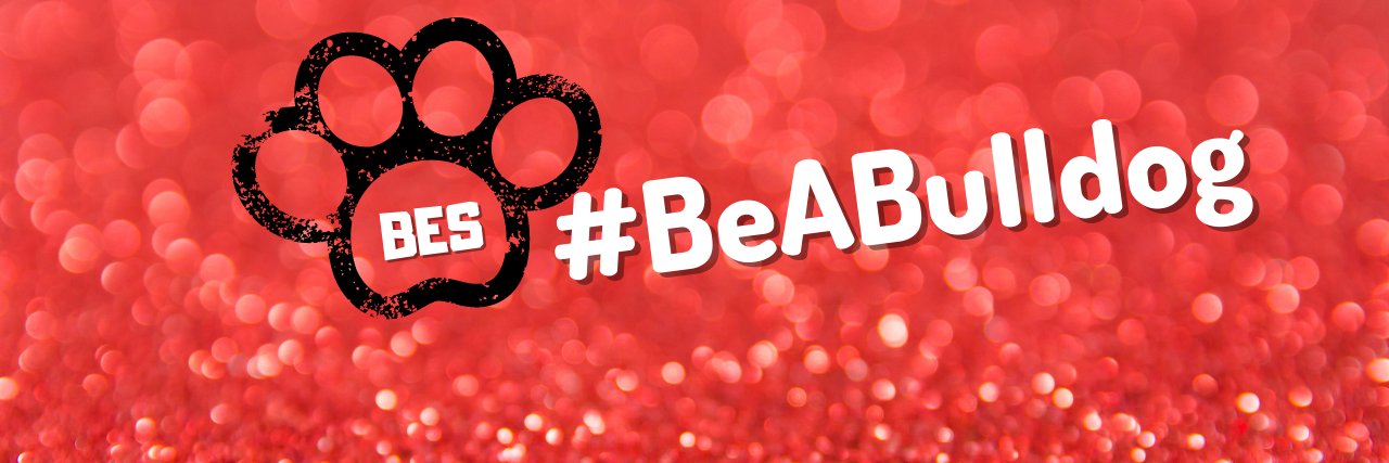 Bostian Elementary banner