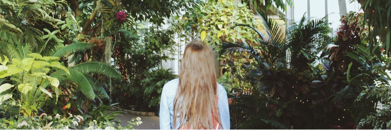 AlbrightAshlyn's profile banner image