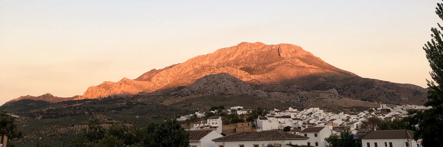 Carlota Gaviña banner