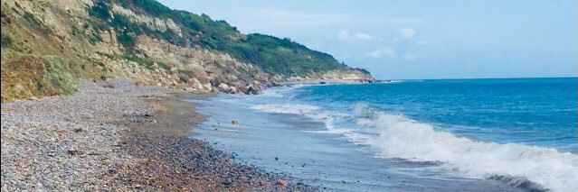 Zandra Bamford banner