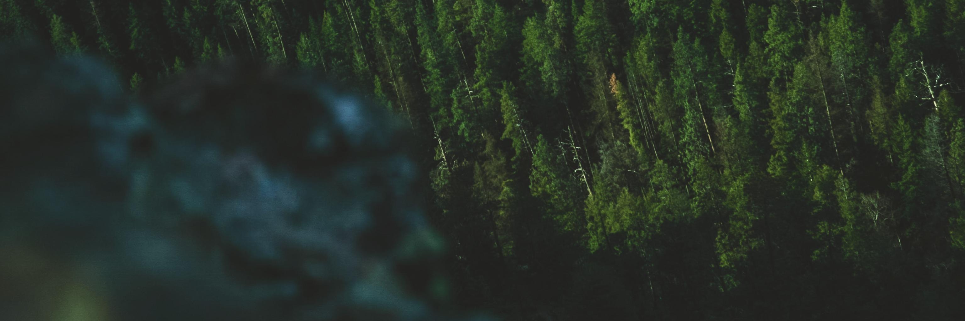 kafkakitty's profile banner image