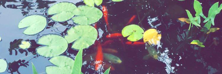 tyannar_'s profile banner image