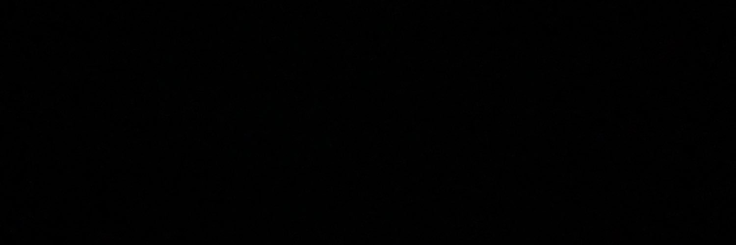 DenglerLea's profile banner image