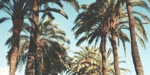 ShayRPGFLO's profile banner image