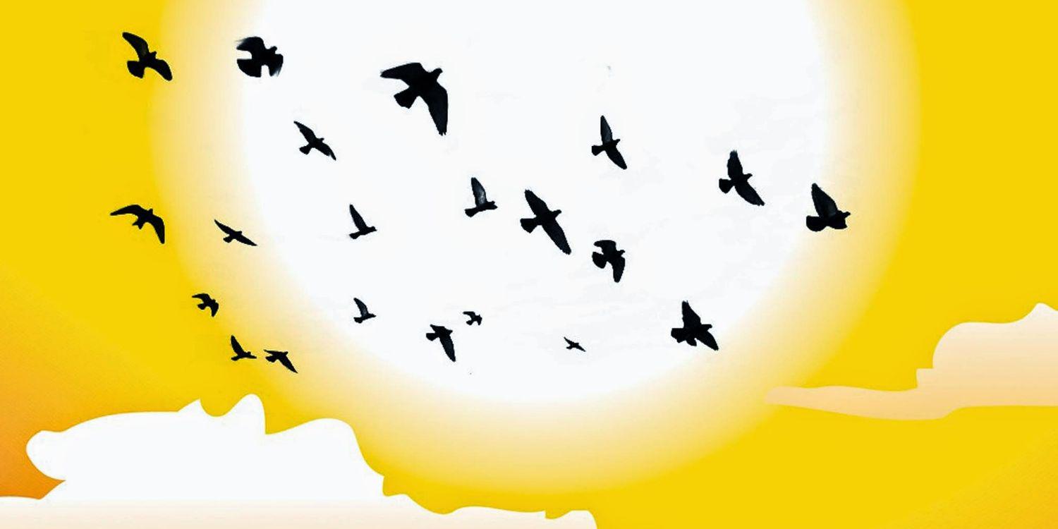 iiidelhon's profile banner image