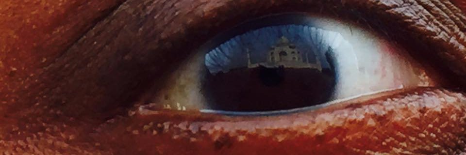 Michelle Ellis, PhD banner