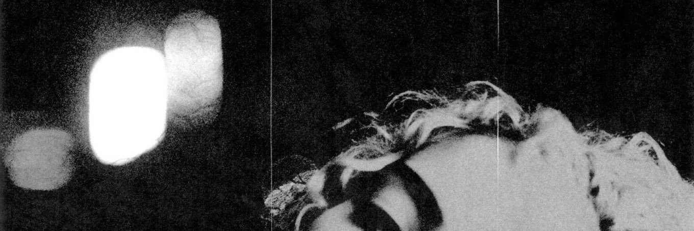 Dante Trasolini banner